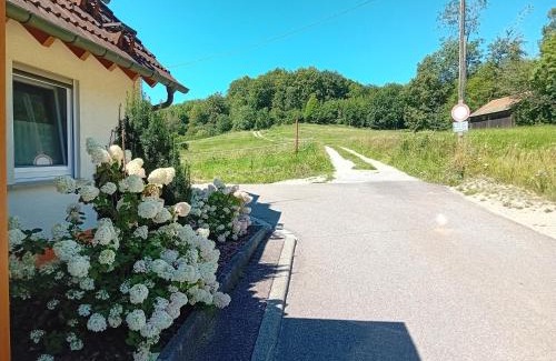 Leibertingen House | Ferienhaus Beim Wildenstein, 90qm