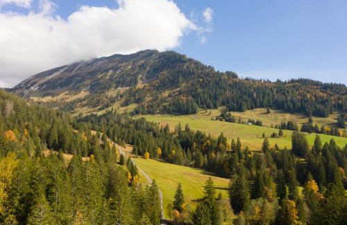 Mitloedi Apartment | Ferienhaus Bergblick
