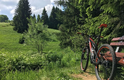 Geising Cottage | Ferienhaus Bikehütte Rehnhäusl