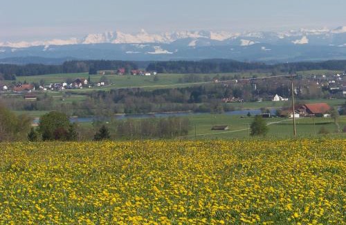 Immenried House | Ferienhaus Brunnenweiher