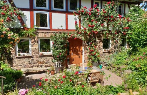 Munzenberg House | Ferienhaus Burgblick