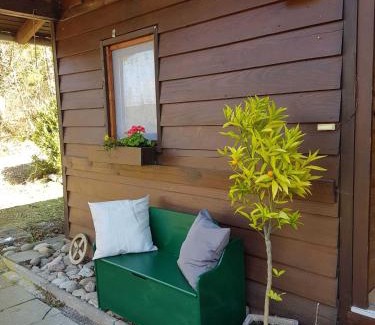 Oberzent House | Ferienhaus Bussard
