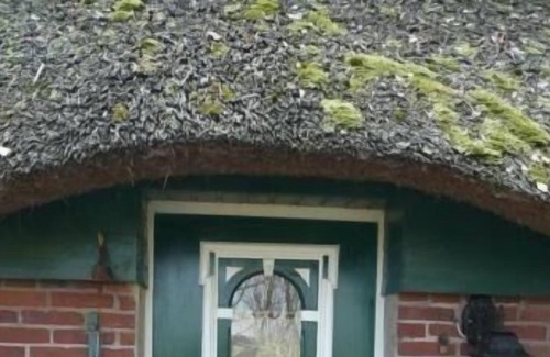 Stadland House | Ferienhaus für 4 Gäste mit 80m² in Augustgroden