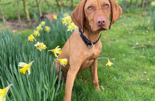 Hattstedt Apartment | Ferienhaus Feldgeflüster