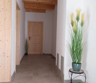 Stockenboi Apartment | Ferienhaus Fellbacher, Weissensee
