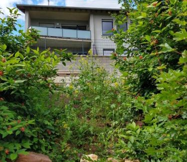 Bollendorf-Pont House | Ferienhaus Fräulein Frenz