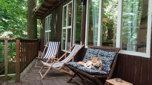 Harbshausen Apartment | Ferienhaus Gädda