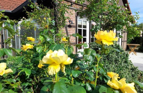Gartow House | Ferienhaus Gartower See