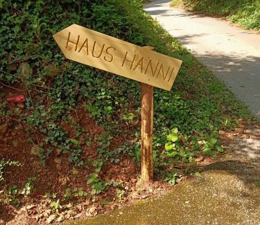 Stainach-Purgg House | Ferienhaus Hanni