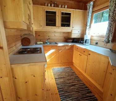 Stainach-Purgg House | Ferienhaus Hanni