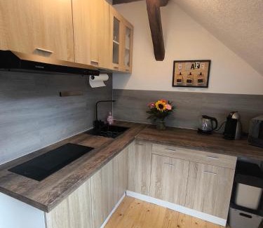 Bockau Apartment | Ferienhaus hERZgebirge