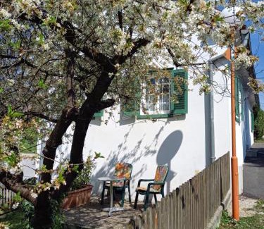Ilz House | Ferienhaus im Thermenland (Loipersdorf, Blumau)