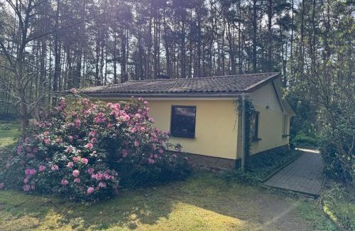 Borkwalde House | Ferienhaus im Wald