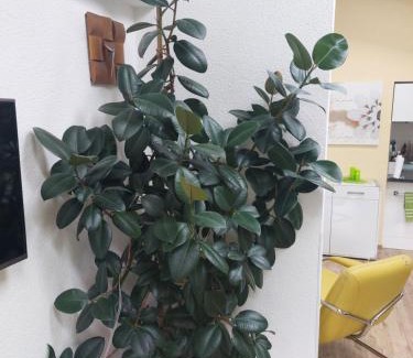 Bernau bei Berlin Apartment | Ferienhaus in Bernau bei Berlin