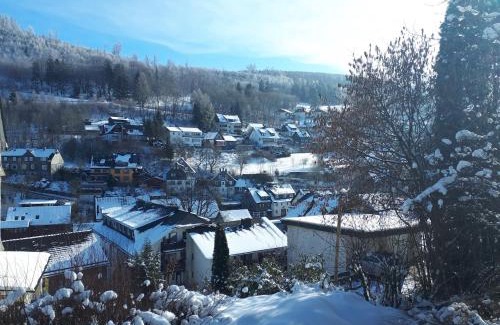 Schwalefeld House | Ferienhaus in Willingen mit eigenem Garten