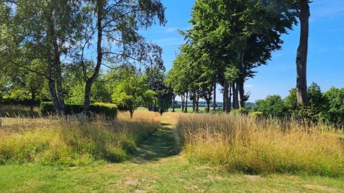 Rohren House | Ferienhaus Kirschblüte