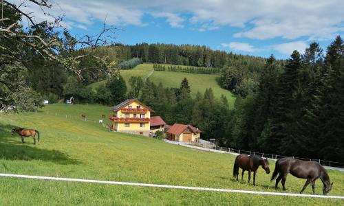 Sonnhofen House | Ferienhaus Kitting