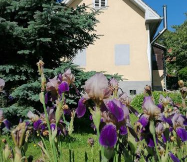 Bad Blumau House | Ferienhaus klein und fein
