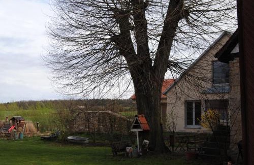 Daasdorf a. Berge Apartment | Ferienhaus Lindenhof