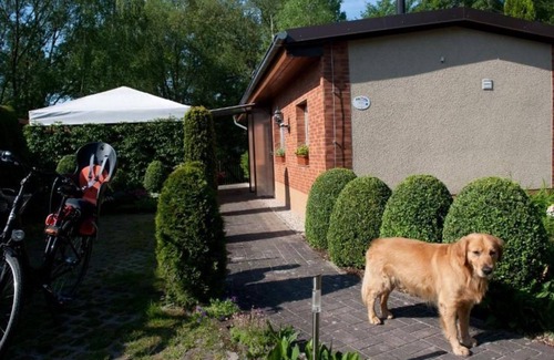Markische Heide Apartment | Ferienhaus Mohnfeld - Spreewaldhäuser am See