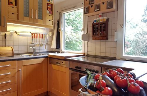 Laubach House | * Ferienhaus Naturliebe 🦋 6000m² park garden at the forest, fenced, fireplace, sauna