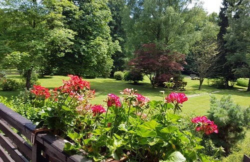 Laubach House | * Ferienhaus Naturliebe 🦋 6000m² park garden at the forest, fenced, fireplace, sauna