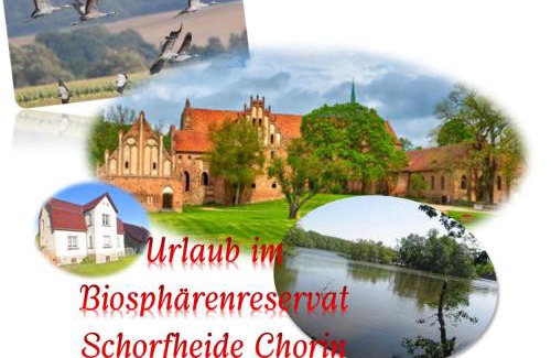 Chorin House | Ferienhaus Naturpur Chorin