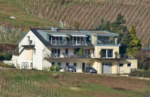 Reil Apartment | Ferienhaus Panorama Mosel