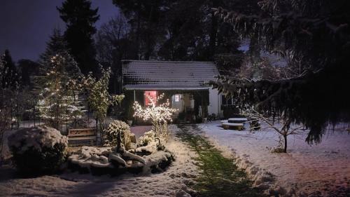 Schonwalde House | Ferienhaus Schatz
