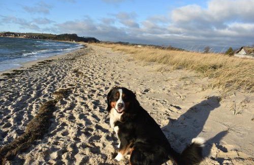 Thiessow House | Ferienhaus Schäferhund