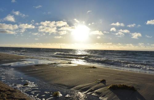 Thiessow House | Ferienhaus Schäferhund