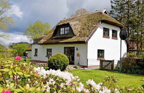 Patzig House | Ferienhaus und wohnung unterm Ree