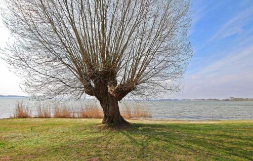 Verchen House | Ferienhaus Verchen