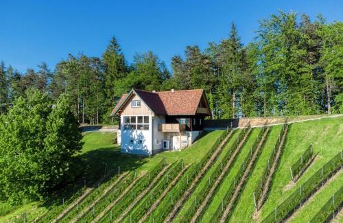 Gemeinde Großradl House | Ferienhaus Wagnerfranzl