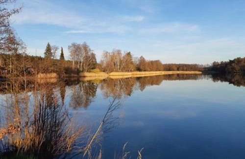 Reinharz House | Ferienhaus Waldblick