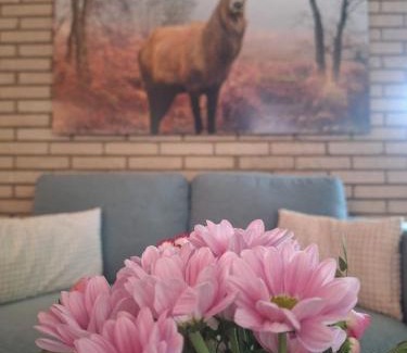 Ferienhausgebiet Hillenseifen House | Ferienhaus "WaldLust" - Waldrandlage - Haustierfreundlich