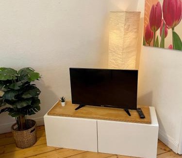 Munster Apartment | Ferienhaus Werseblick Fewo 2