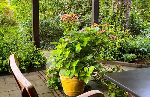 Kobern-Gondorf House | Ferienhaus Weyerhof II, Mosel, Große Terrasse, Grill, Erholung Pur. Nähe Koblenz