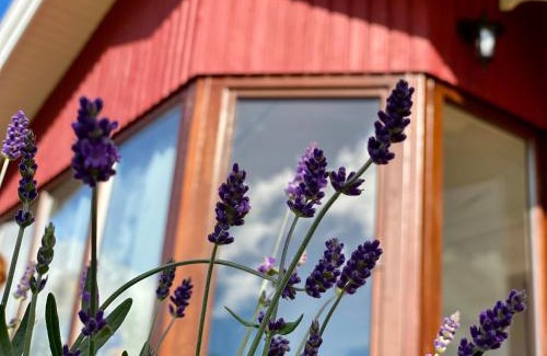 Sievern House | Ferienhaus“Wieden am See“