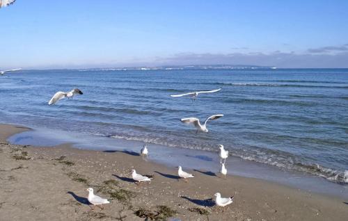 Wiek House | Ferienhaus Wiek Auf Rügen