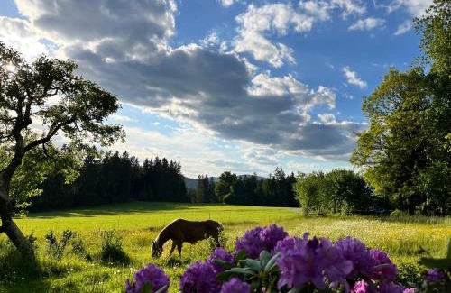 Bobrach House | Ferienhaus Zopfhäusl