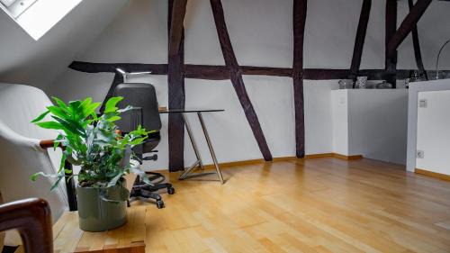 Karden House | Ferienhaus zum Kompeskopf - mit Moselblick