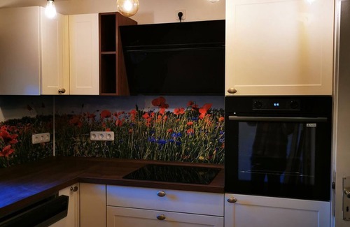 Godenroth House | Ferienhaus zur Kleinen Hummel - Ferienhaus, Dusche, WC, 4 Oder Mehr Schlafräume