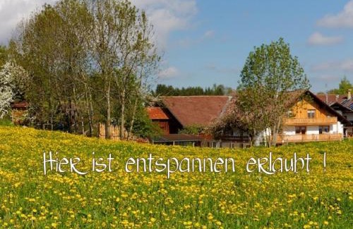 Heitlern Apartment | Ferienhof Am Holderbusch