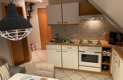 Westerholz Apartment | Ferienhof Jepsen - Grünberg - Ferienhof Jepsen