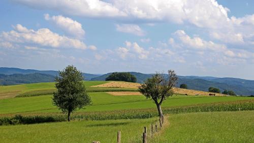 Winterkasten House | Ferienhof Knoll