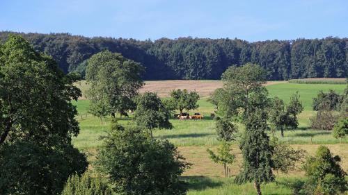 Winterkasten House | Ferienhof Knoll