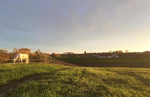 Salzweg House | Ferienhof Löw