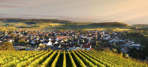 Sasbach am Kaiserstuhl Apartment | Ferienhof Schlössle