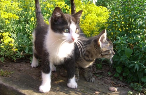 Preunschen Apartment | Ferienhof Sennert